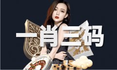 四九图库增城材料